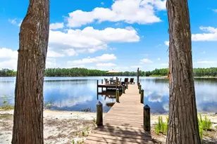 4541 School Rd, Land O Lakes, FL 34638 - Photo 57