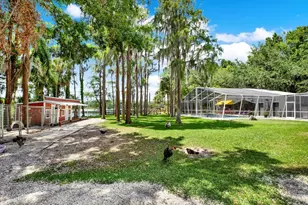 4541 School Rd, Land O Lakes, FL 34638 - Photo 53