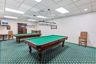 10187 Holly Berry Dr, Weeki Wachee, FL 34613 - Photo 59