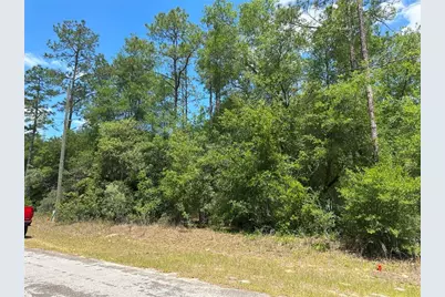 1571 W Alexander Drive, Citrus Springs, FL 34434 - Photo 1