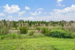 8417 Danbury Ln, Hudson, FL 34667 - Photo 41