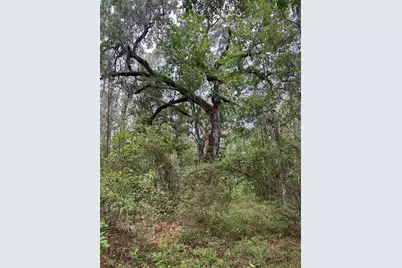 0 Emerson Road, Brooksville, FL 34601 - Photo 5