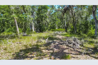 105 NE 239th Avenue, Old Town, FL 32680 - Photo 9