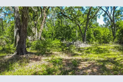 105 NE 239th Avenue, Old Town, FL 32680 - Photo 13