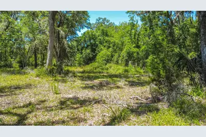 105 NE 239th Avenue, Old Town, FL 32680 - Photo 15