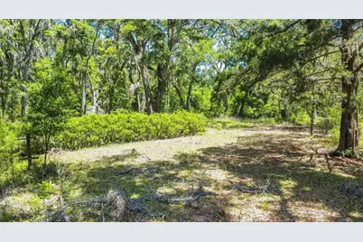 105 NE 239th Avenue, Old Town, FL 32680 - Photo 11