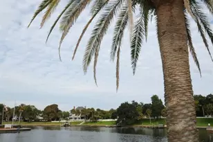 124 Athens St, Tarpon Springs, FL 34689 - Photo 25