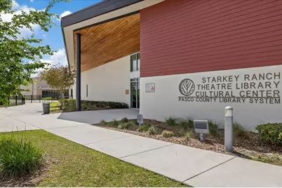 11398 Juglans Drive, Odessa, FL 33556 - Photo 65