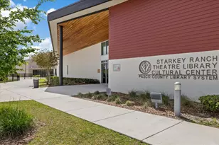 11398 Juglans Dr, Odessa, FL 33556 - Photo 65