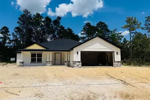 11406 Labrador Duck Rd, Weeki Wachee, FL 34614 - Photo 1