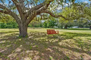 4131 Burwell, Webster, FL 33597 - Photo 43