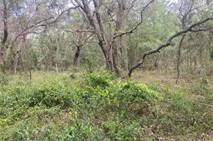 12643 Placid Rd, Hudson, FL 34667 - Photo 3