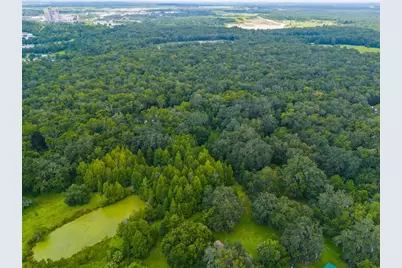 Rain Forest Road, Brooksville, FL 34601 - Photo 9