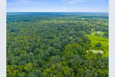 Rain Forest Road, Brooksville, FL 34601 - Photo 11