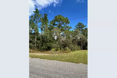 7181 N Regent Terrace, Citrus Springs, FL 34433 - Photo 3