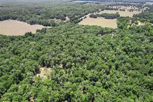 11426 S Pleasant Grove Rd, Floral City, FL 34436 - Photo 1