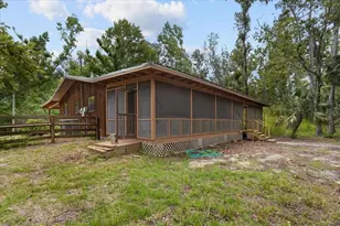 1528 Palm Street NE, Steinhatchee, FL 32359 - Photo 29