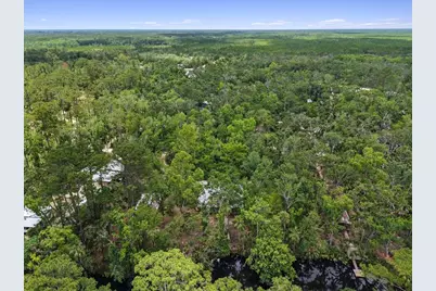 1528 Palm Street NE, Steinhatchee, FL 32359 - Photo 33