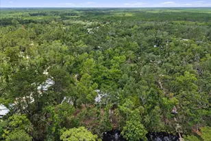 1528 Palm Street NE, Steinhatchee, FL 32359 - Photo 33