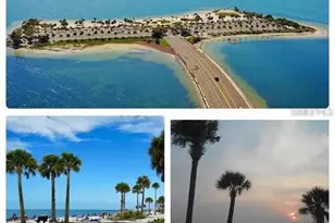 2326 Prestige Dr, Holiday, FL 34690 - Photo 61