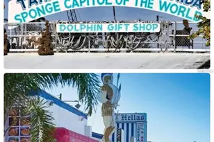 2326 Prestige Dr, Holiday, FL 34690 - Photo 63