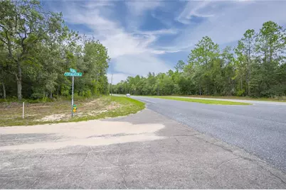 1287 W Evergreen Drive, Citrus Springs, FL 34434 - Photo 9