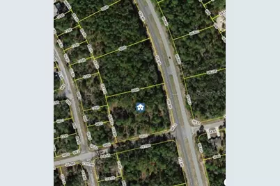 1287 W Evergreen Drive, Citrus Springs, FL 34434 - Photo 3