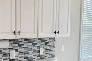 18558 Cortes Creek Blvd, Spring Hill, FL 34610 - Photo 81