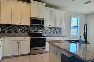 18558 Cortes Creek Blvd, Spring Hill, FL 34610 - Photo 19