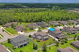 18558 Cortes Creek Blvd, Spring Hill, FL 34610 - Photo 67