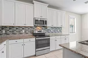 18558 Cortes Creek Blvd, Spring Hill, FL 34610 - Photo 15