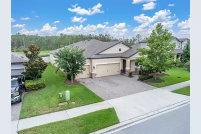 11876 Ranchers Gap Drive, Odessa, FL 33556 - Photo 1