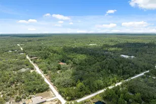 0 Yellowthroat Ave, Weeki Wachee, FL 34614 - Photo 1