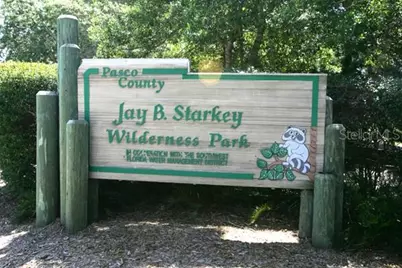 9433 Stonewall Lane, New Port Richey, FL 34655 - Photo 53