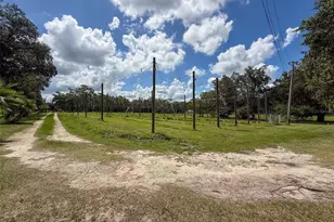 3011 Endsley Rd, Brooksville, FL 34604 - Photo 43