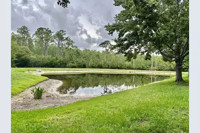 12229 Luftburrow Lane, Hudson, FL 34669 - Photo 55