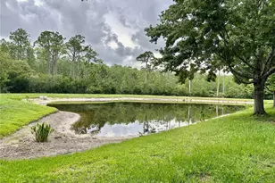 12229 Luftburrow Ln, Hudson, FL 34669 - Photo 55