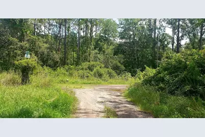 0 Ladd Avenue, New Port Richey, FL 34654 - Photo 3