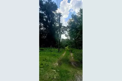 Tbd Ladd Ave, New Port Richey, FL 34654 - Photo 7