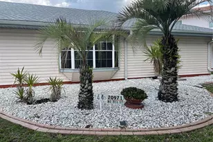 20971 Negril Ct, Lutz, FL 33558 - Photo 7