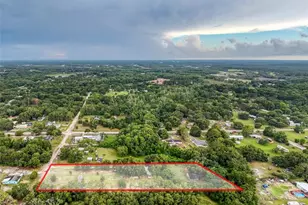 12445 Hamlin Rd, Spring Hill, FL 34610 - Photo 13