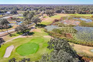 13321 Norman Cir, Hudson, FL 34669 - Photo 69