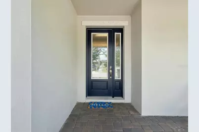 3897 Villamore Lane, Odessa, FL 33556 - Photo 41