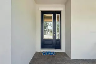 3897 Villamore Ln, Odessa, FL 33556 - Photo 41