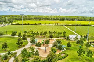 3897 Villamore Ln, Odessa, FL 33556 - Photo 89