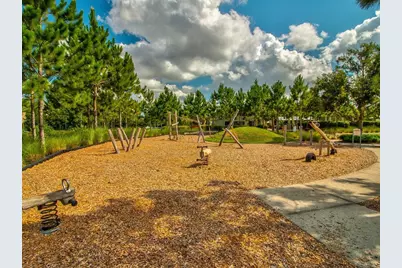 3897 Villamore Lane, Odessa, FL 33556 - Photo 73