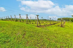 3897 Villamore Ln, Odessa, FL 33556 - Photo 93