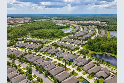 3897 Villamore Lane, Odessa, FL 33556 - Photo 53