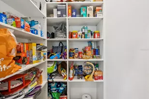 3897 Villamore Ln, Odessa, FL 33556 - Photo 27