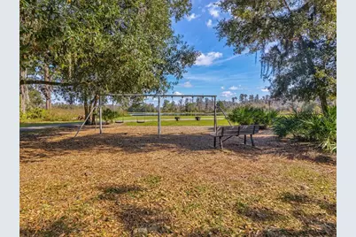 3897 Villamore Lane, Odessa, FL 33556 - Photo 65